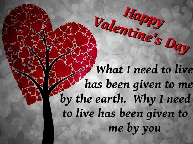 Valentines Day Messages For Boyfriend