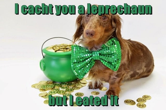 St patrick's Day Images Funny