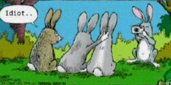Bunny Easter Memes