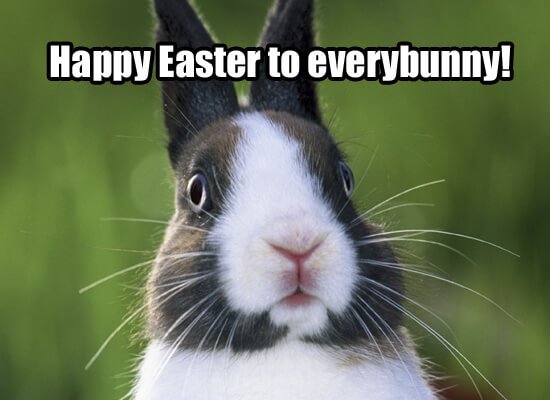 Happy Easter Funny
